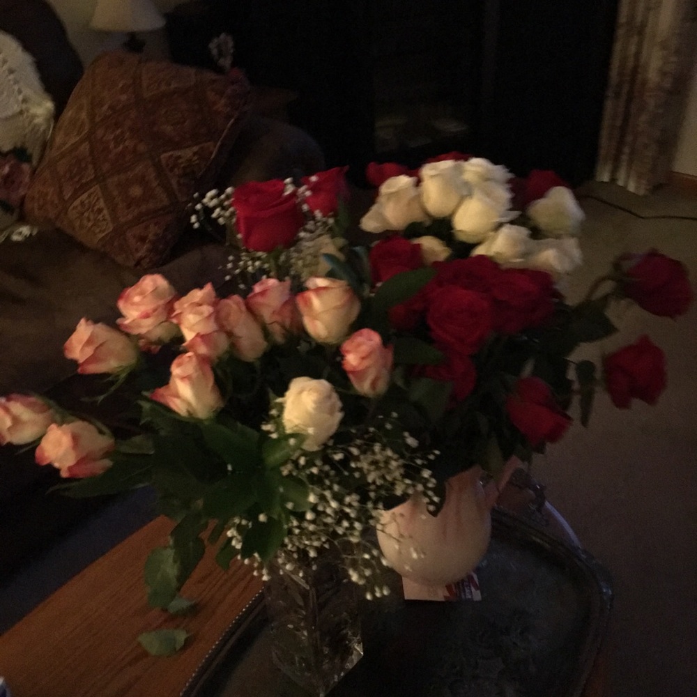 Meet your Posher, Elisa